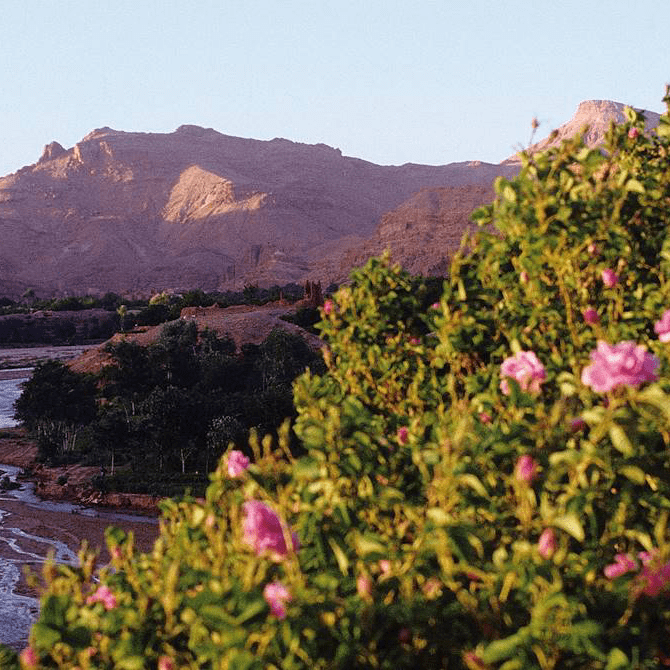 Trek des Gazelles : Edition montagne, la vallée des roses