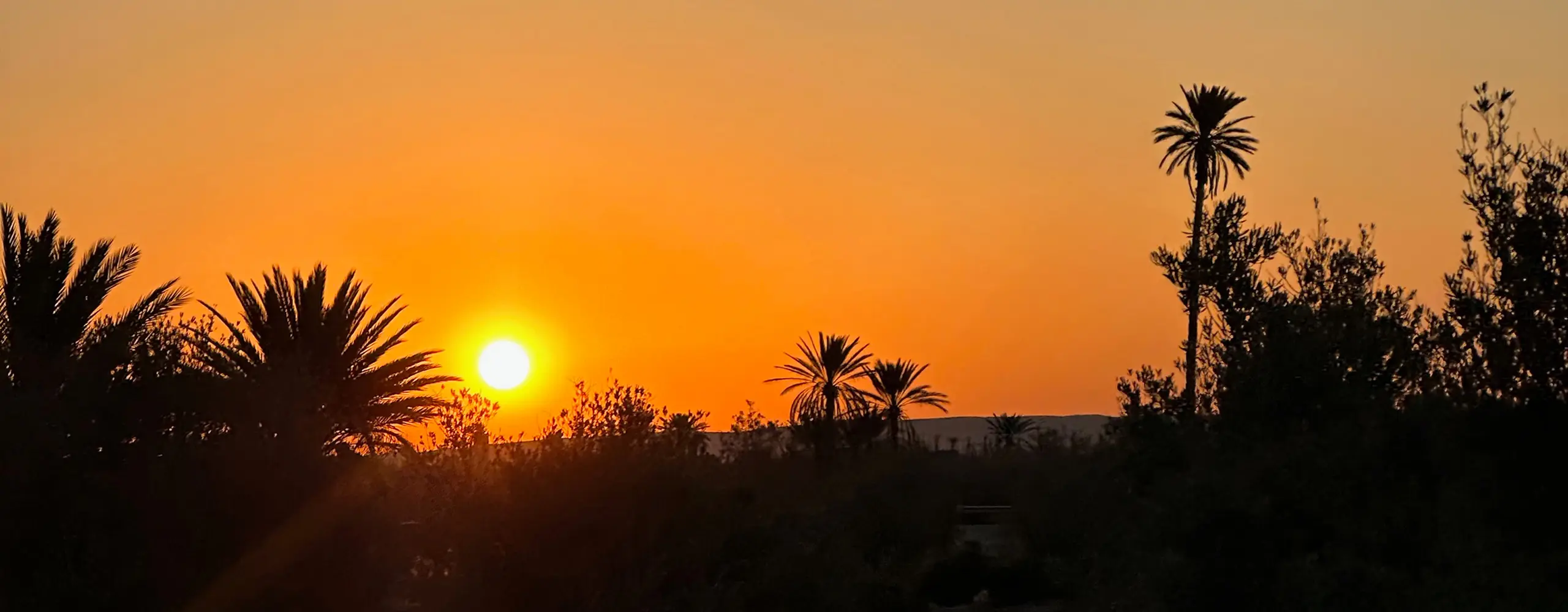 Reisbureau Trek des Gazelles, avontuurlijke reizen voor vrouwen, organisator van trektochten in Marokko, reizen voor vrouwen in Marokko, reisbureau, Marokko, woestijn