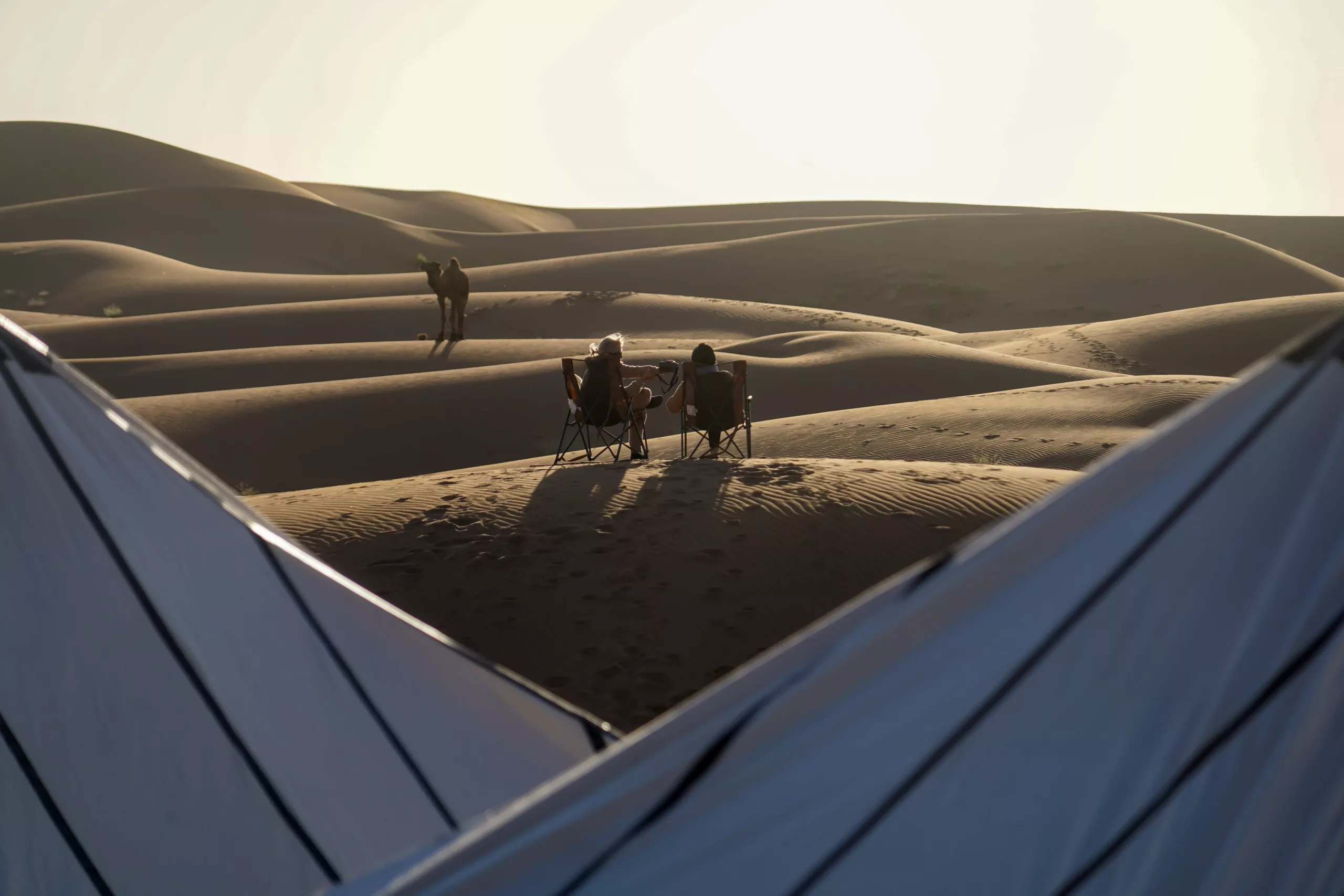 Reisbureau Trek des Gazelles, avontuurlijke reizen voor vrouwen, organisator van trektochten in Marokko, reizen voor vrouwen in Marokko, reisbureau, Marokko, woestijn
