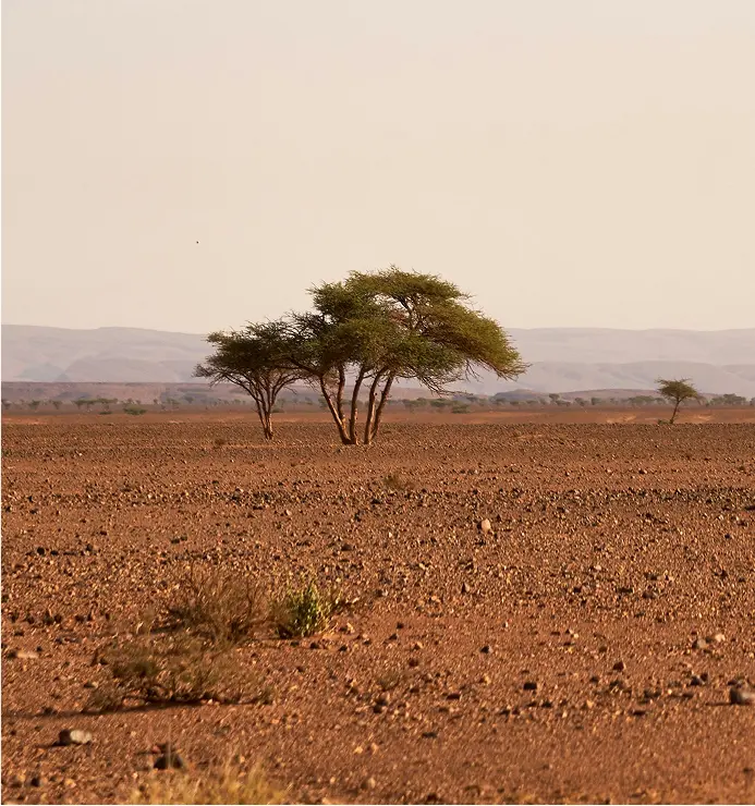 Kontakt Trek des Gazelles, Kontakt Trek des Gazelles, Informationen zum Trekking in Marokko, Koordinaten des Trekkings für Frauen, Trek des Gazelles, Kontakt, Kontakt, private Reisen