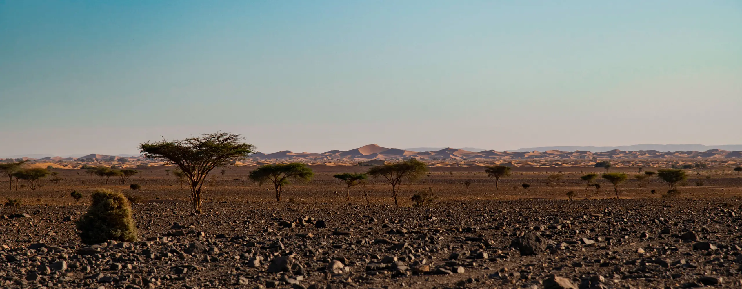 Trek des Gazelles Edition, Morocco trek 2025, women&#39;s trek event, women&#39;s adventure Morocco, Morocco trek 2026, event, Trek Des Gazelles, Middle Atlas, bivouac
